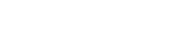 BRIDGESTONE SELECT